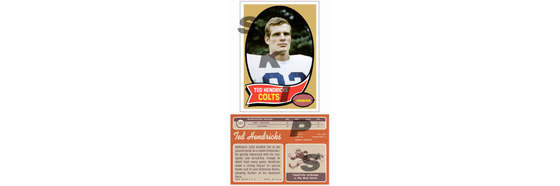 Ted Hendricks