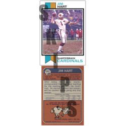 1973 STCC #530 Jim Hart St. Louis Cardinals custom card 