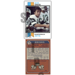 1973 STCC #536 Bob Davis New York Jets custom card 