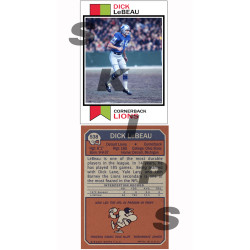 1973 STCC #538 Dick LeBeau Detroit Lions custom card HOF
