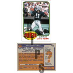 1976 STCC #531 David Humm Oakland Raiders custom card 1976 STCC #531 David Humm Oakland Raiders custom card