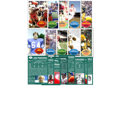 2021 STCC Collegiate set 1-10 Ernie Davis, Joe Montana, Brian Piccolo, Dwayne Johnson, Tony Dungy, Paul Warfield, Archie Manning, Ron Dayne, O.J. Simpson, Andy Reid The Rock series #1